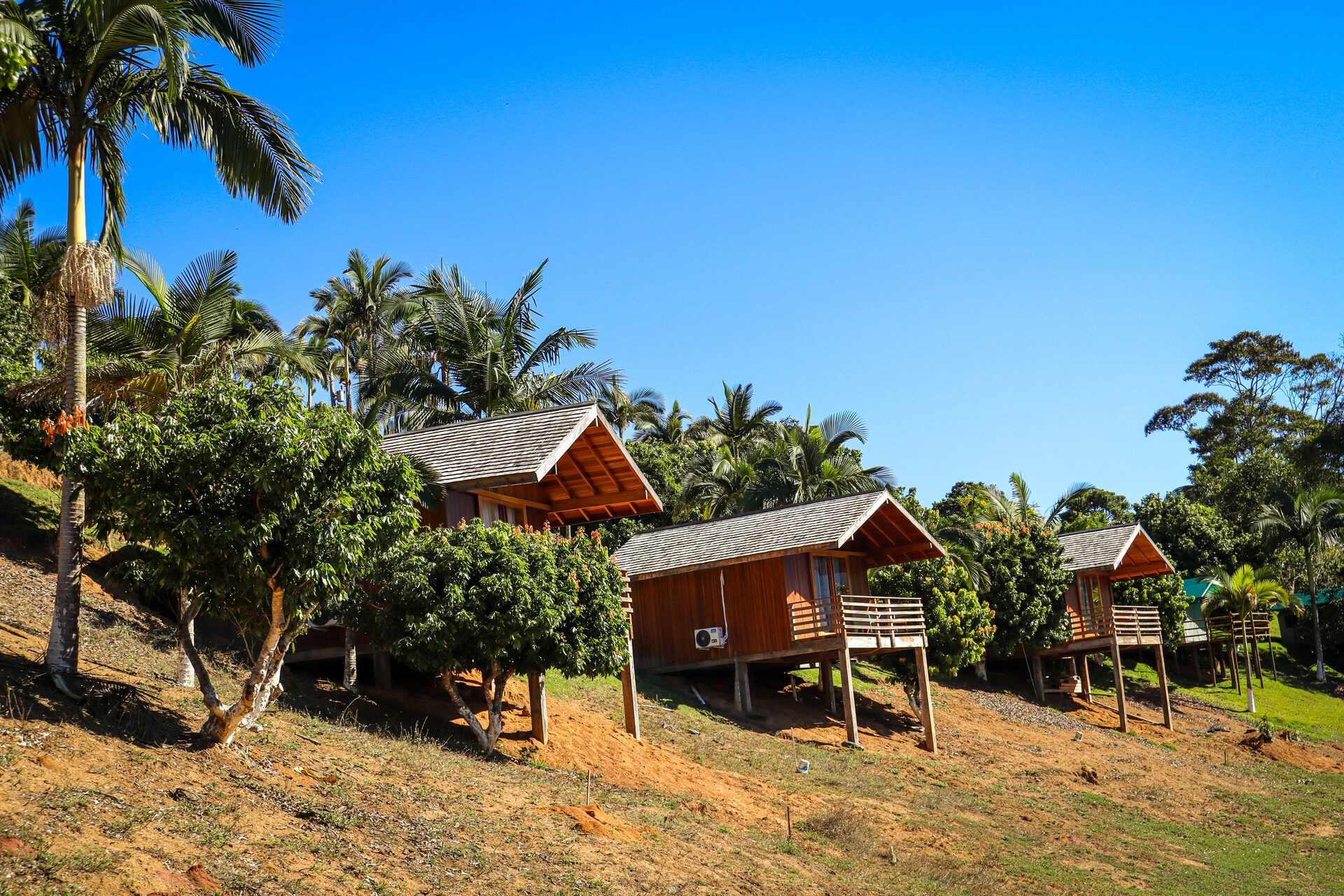 Glamping da Serra